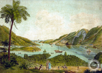 coral-bay-1833
